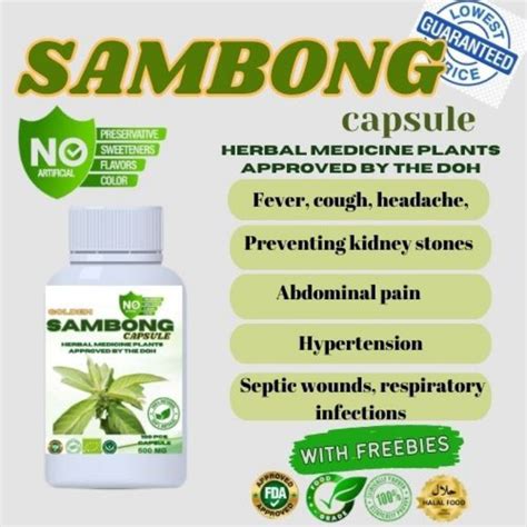 how to drink sambong capsule
